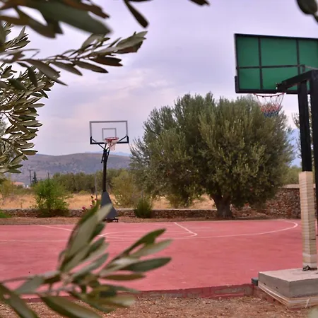 Villa In The Olive Trees Galaxidi Exterior photo