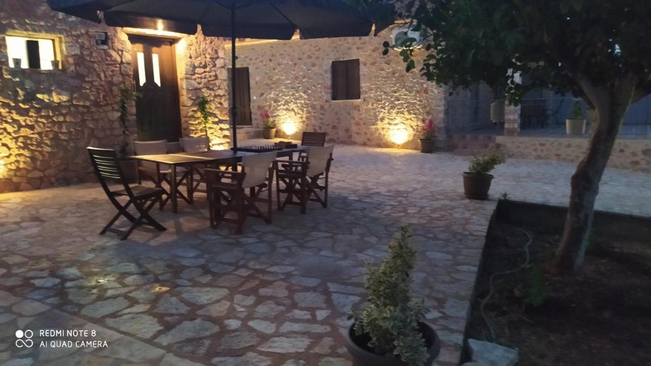 In The Olive Trees *