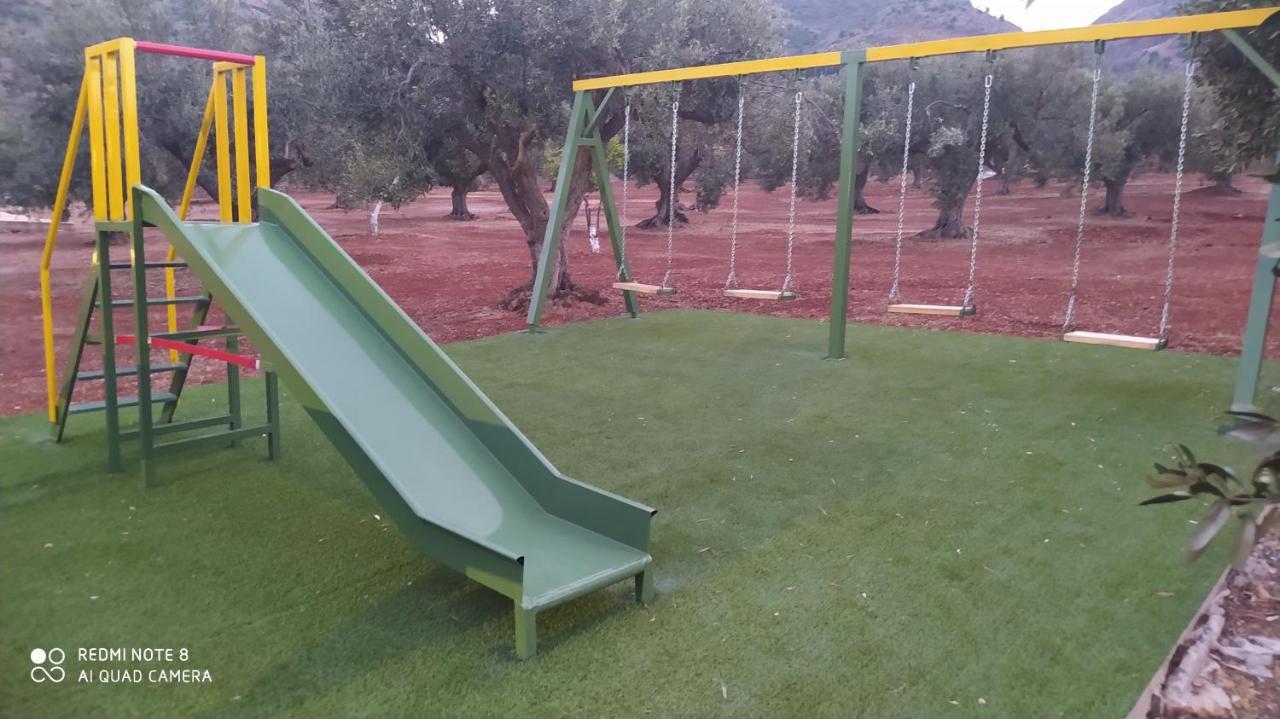 In The Olive Trees Galaxidi