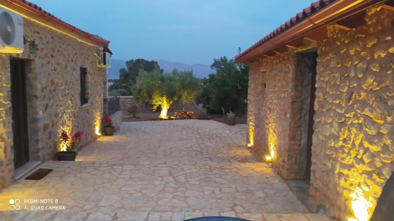 Country house In The Olive Trees Galaxidi