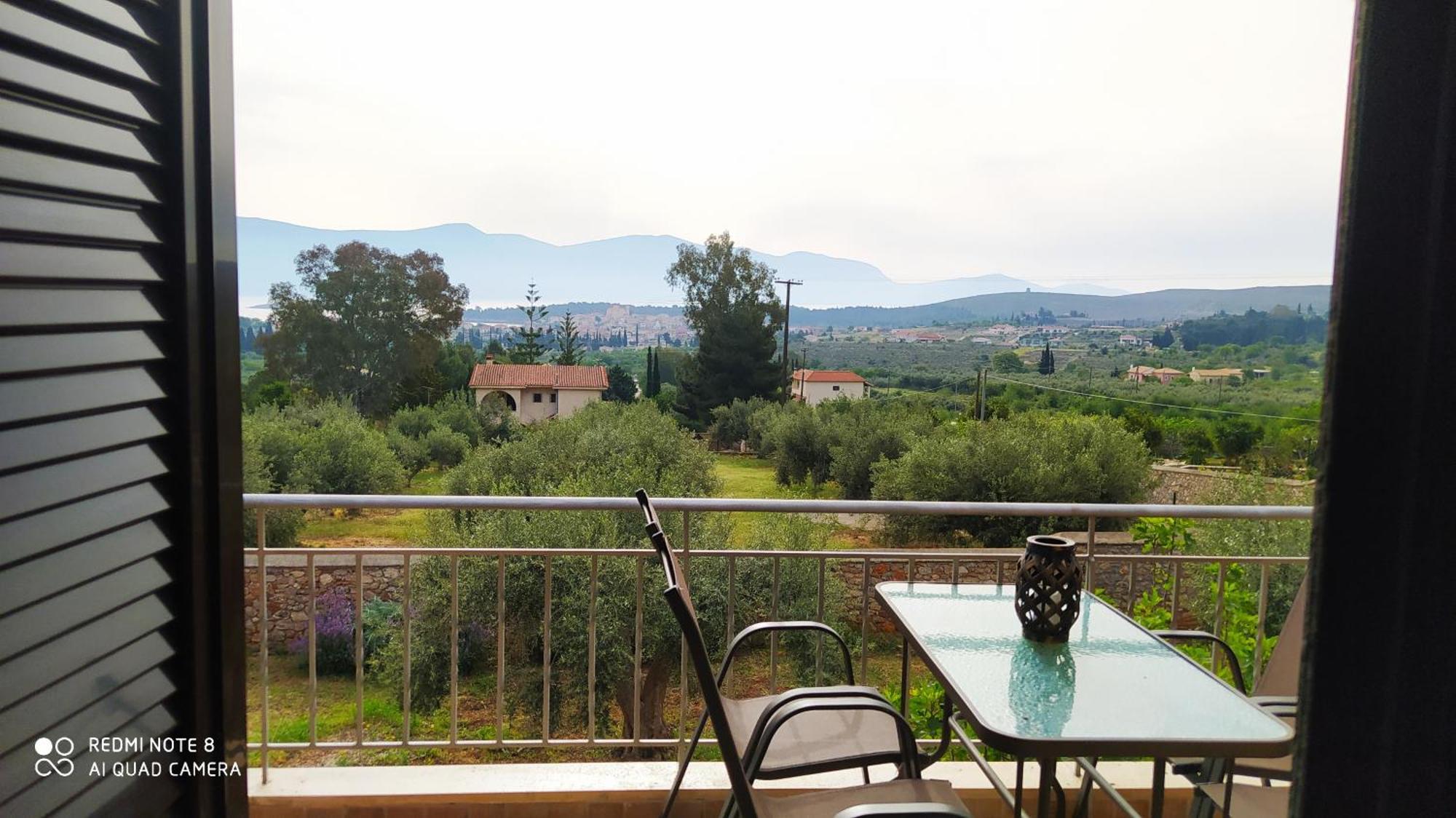 In The Olive Trees *