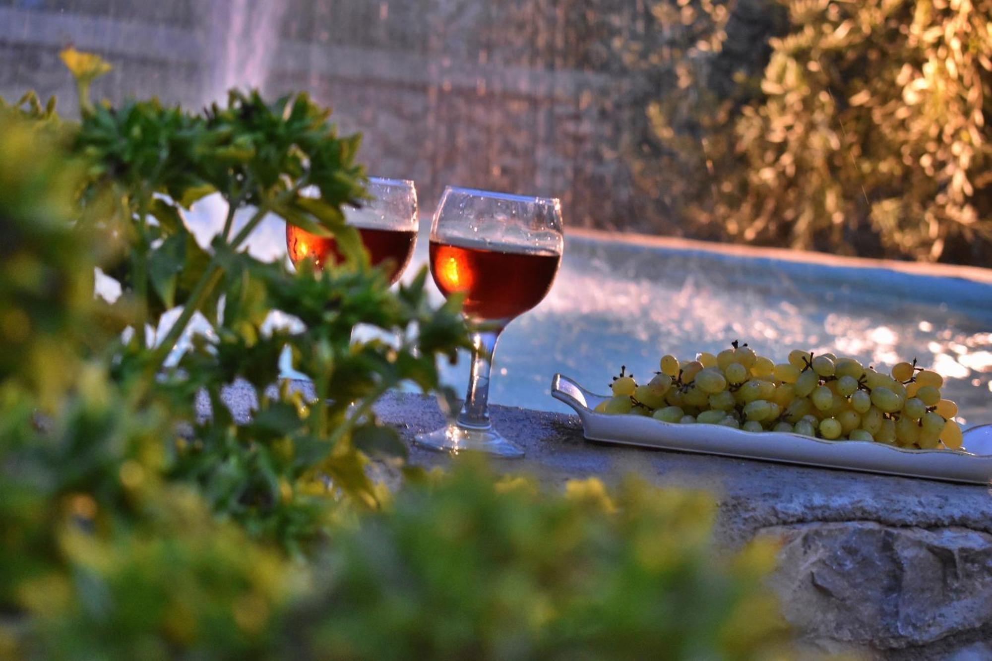 In The Olive Trees