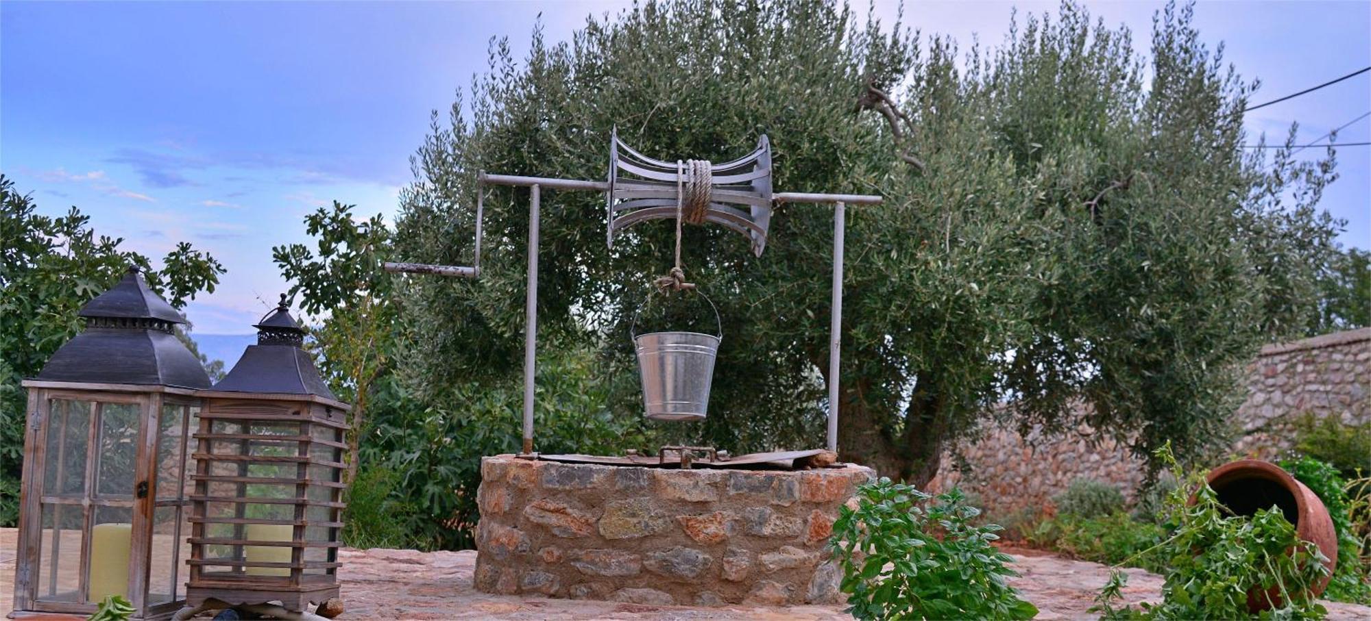 In The Olive Trees Country house *