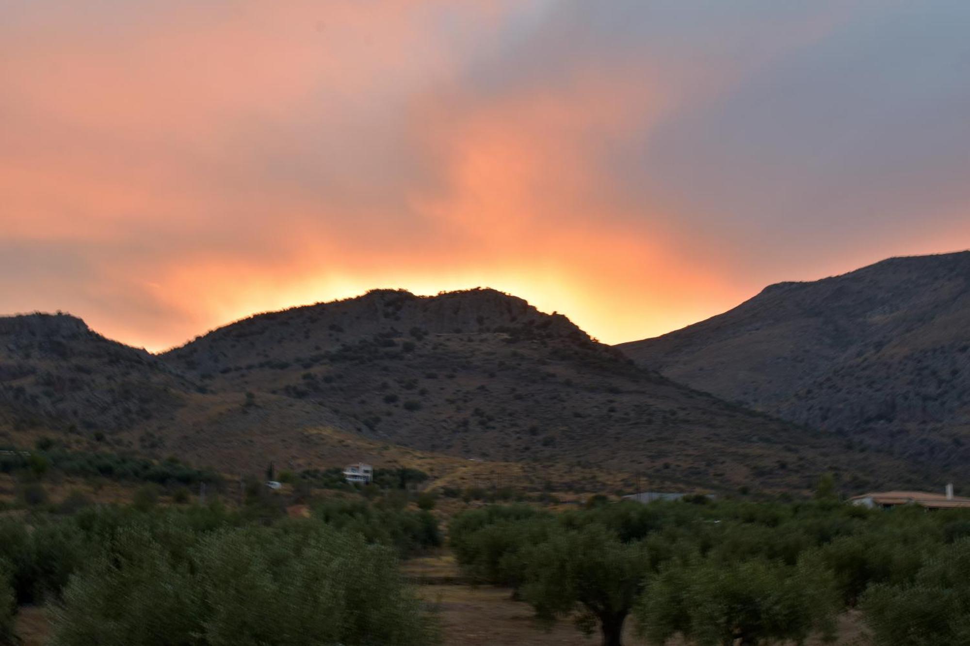 Country house In The Olive Trees