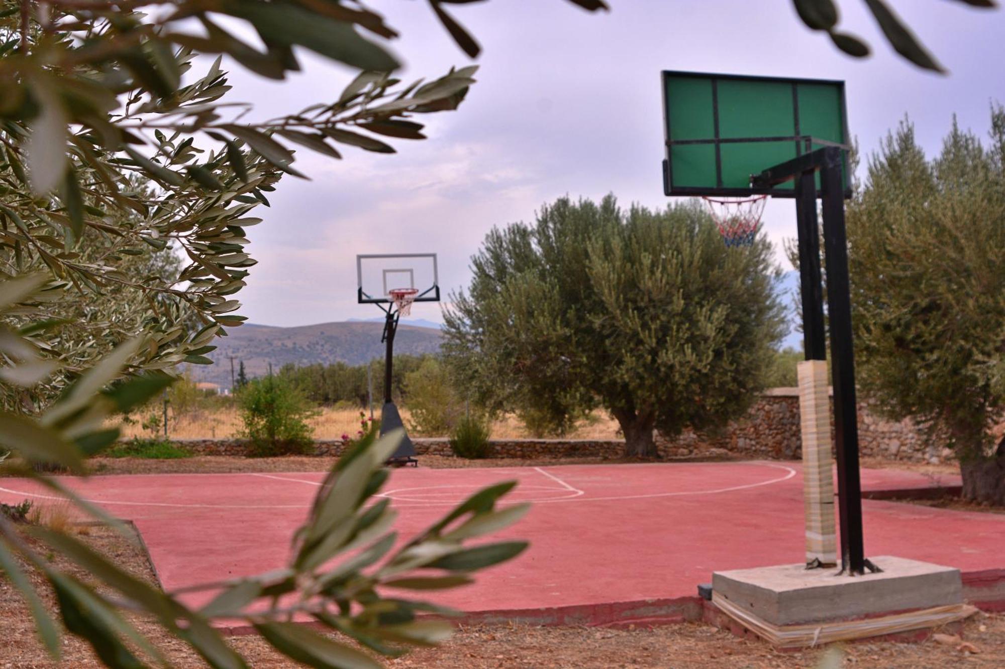 In The Olive Trees Country house Galaxidi