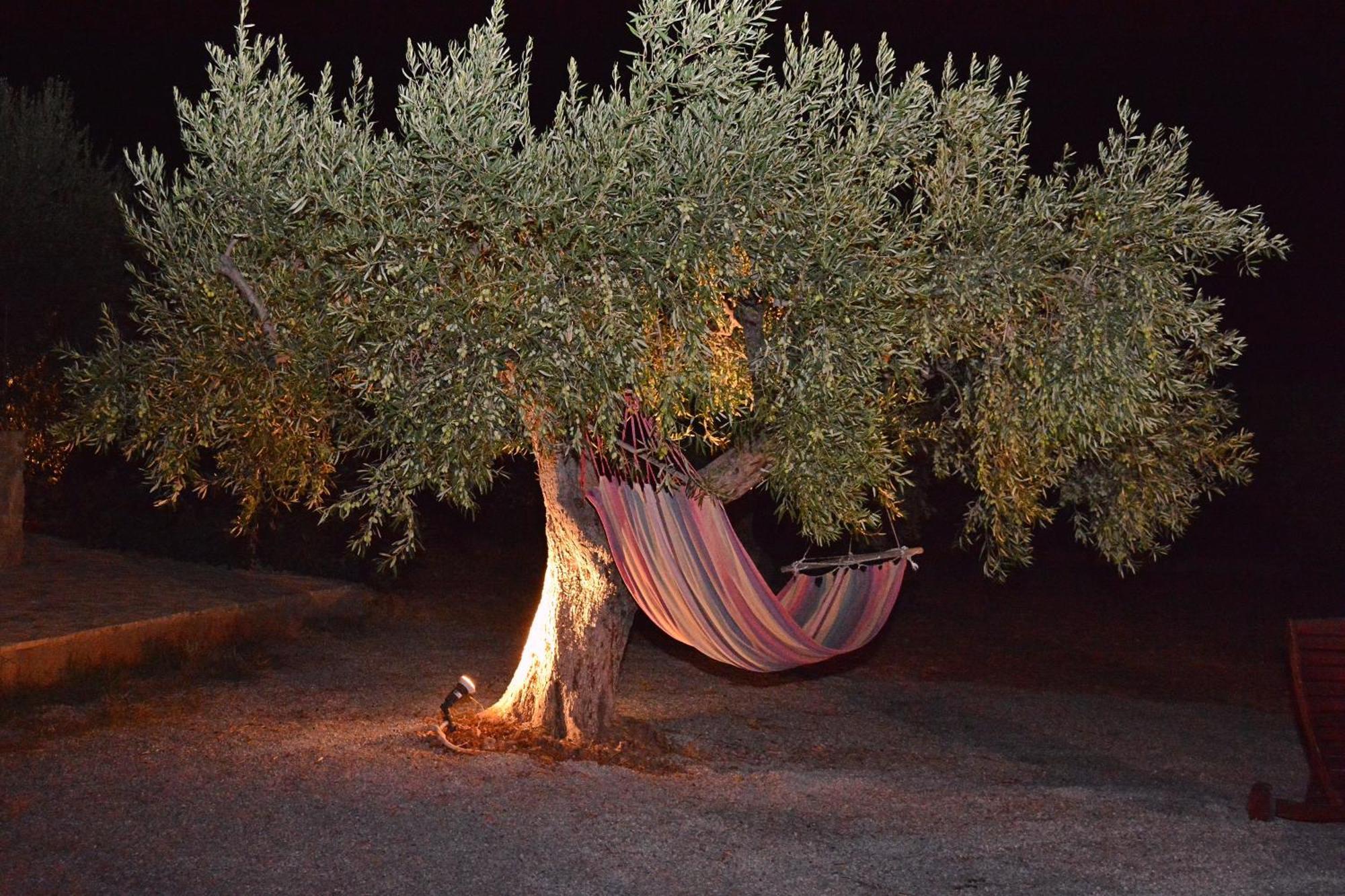 Country house In The Olive Trees *