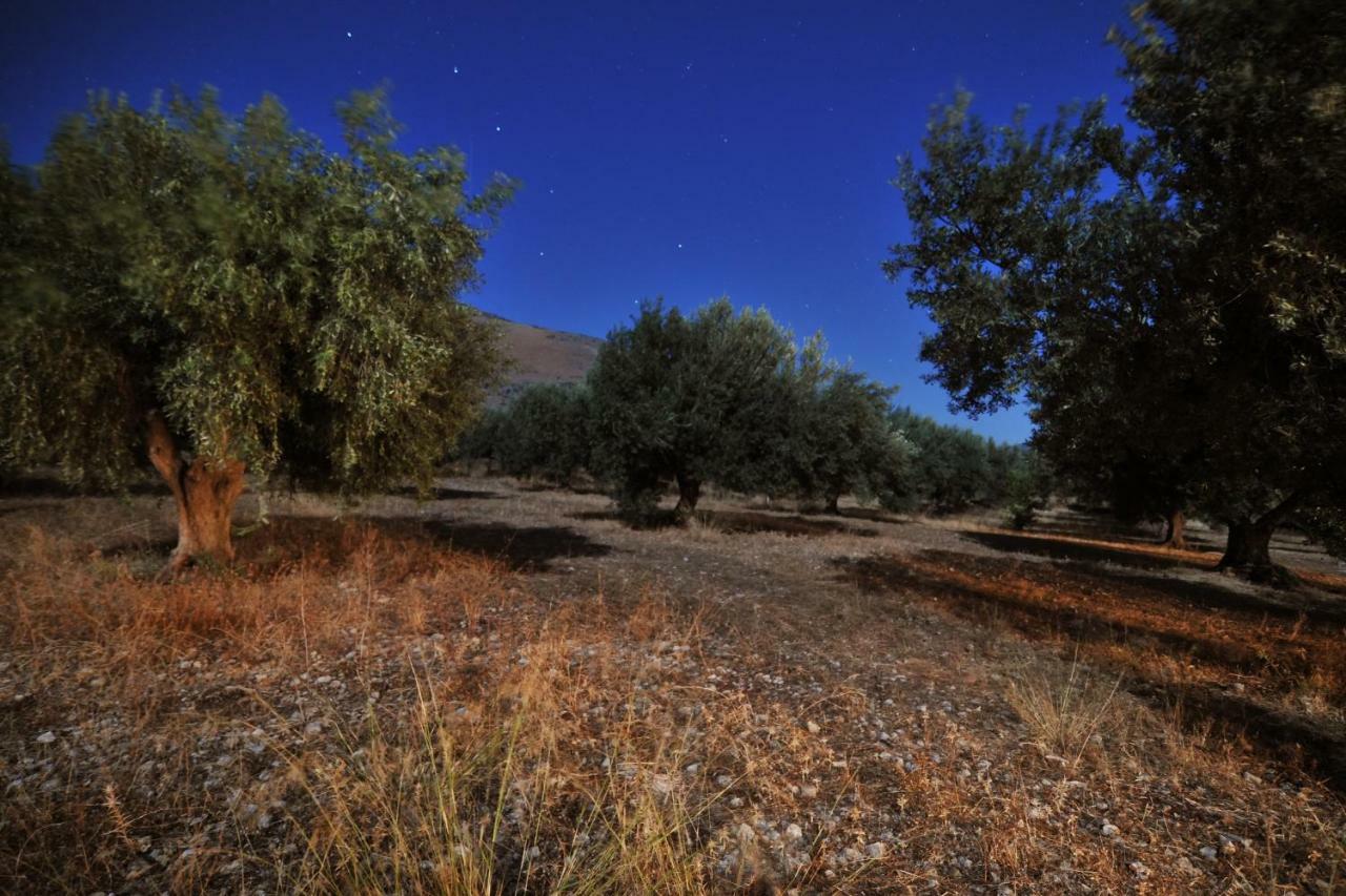In The Olive Trees Country house Galaxidi